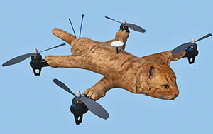 RF DRONE